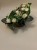 IMG_1286.jpeg