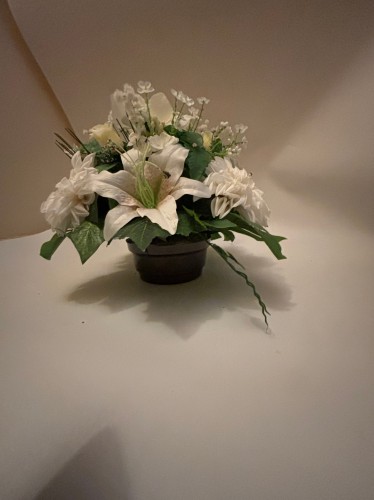 IMG_1317.jpeg