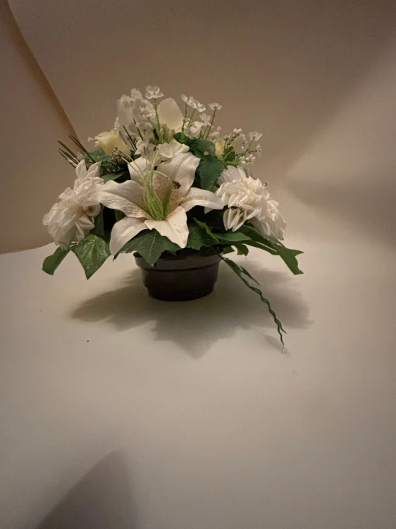IMG_1317.jpeg