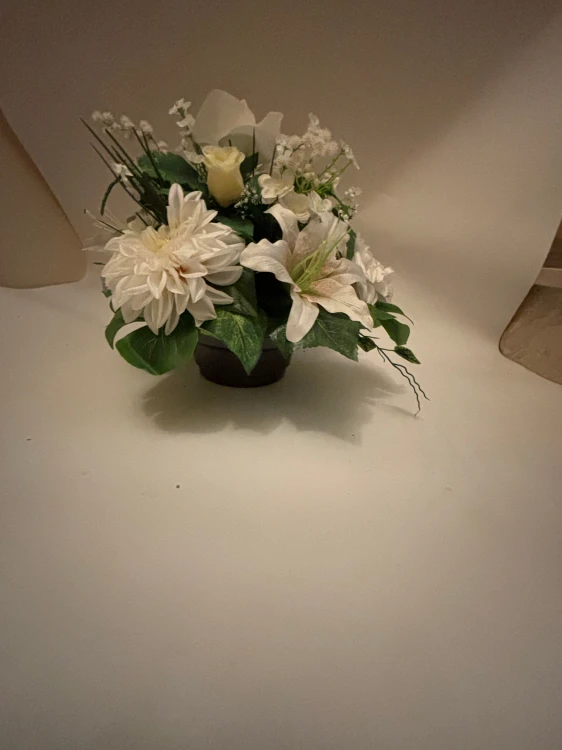 IMG_1318.jpeg