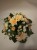 IMG_1329.jpeg