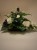 IMG_1359.jpeg