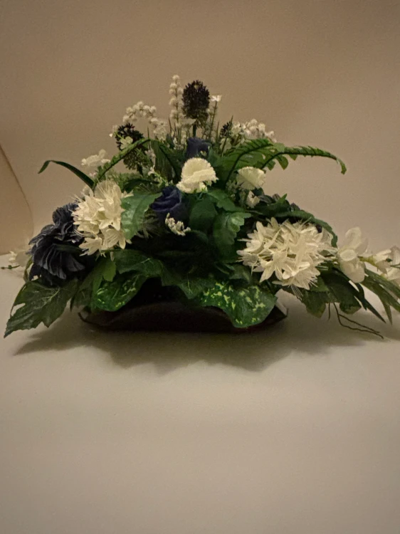 IMG_1359.jpeg