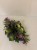 IMG_1361.jpeg