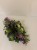 IMG_1361.jpeg