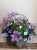 IMG_7829.jpeg