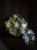 IMG_2291.jpeg